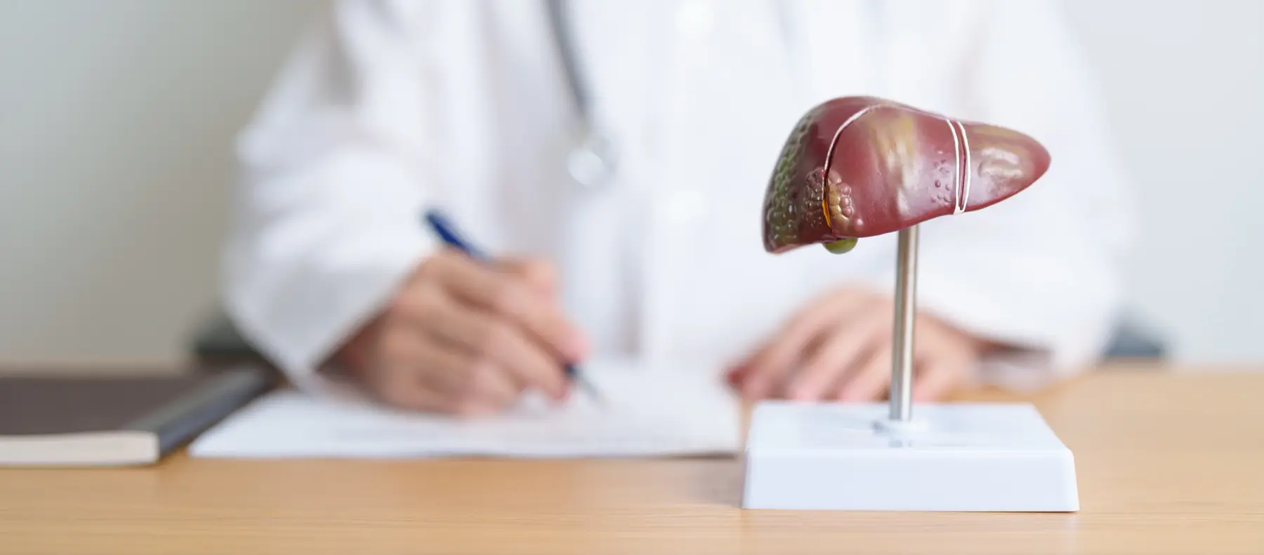 Liver transplant consultation in Istanbul