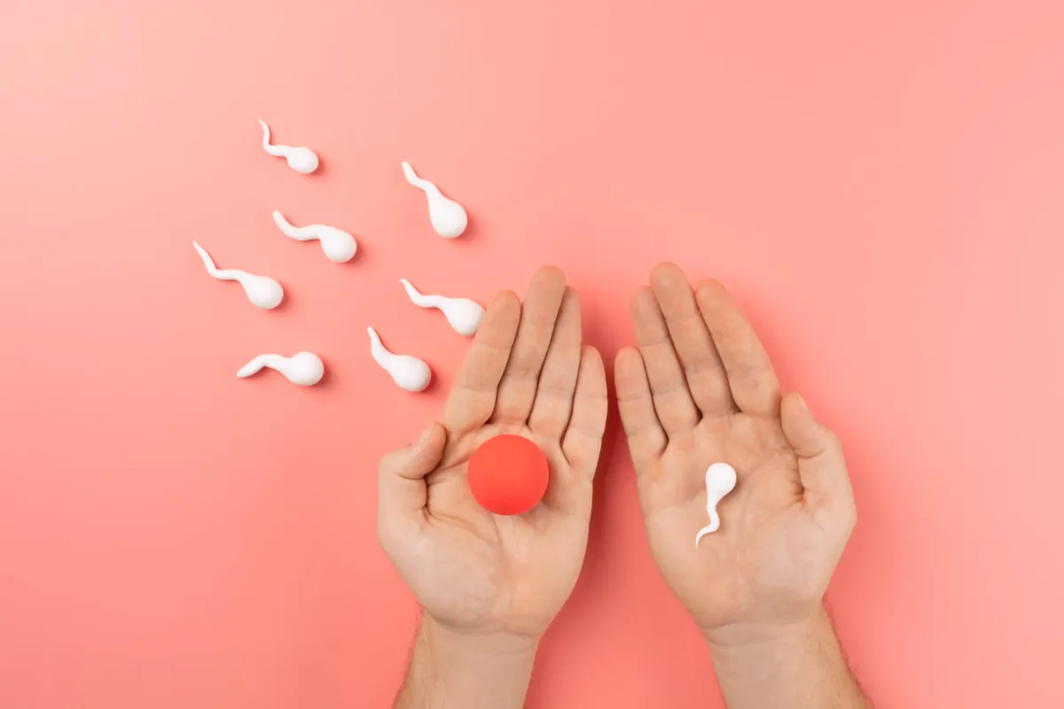 IVF Trkei | Kosten, Kliniken & Kinderwunschbehandlung